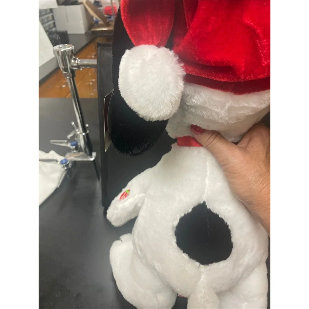 Snoopy Peanut Christmas 21